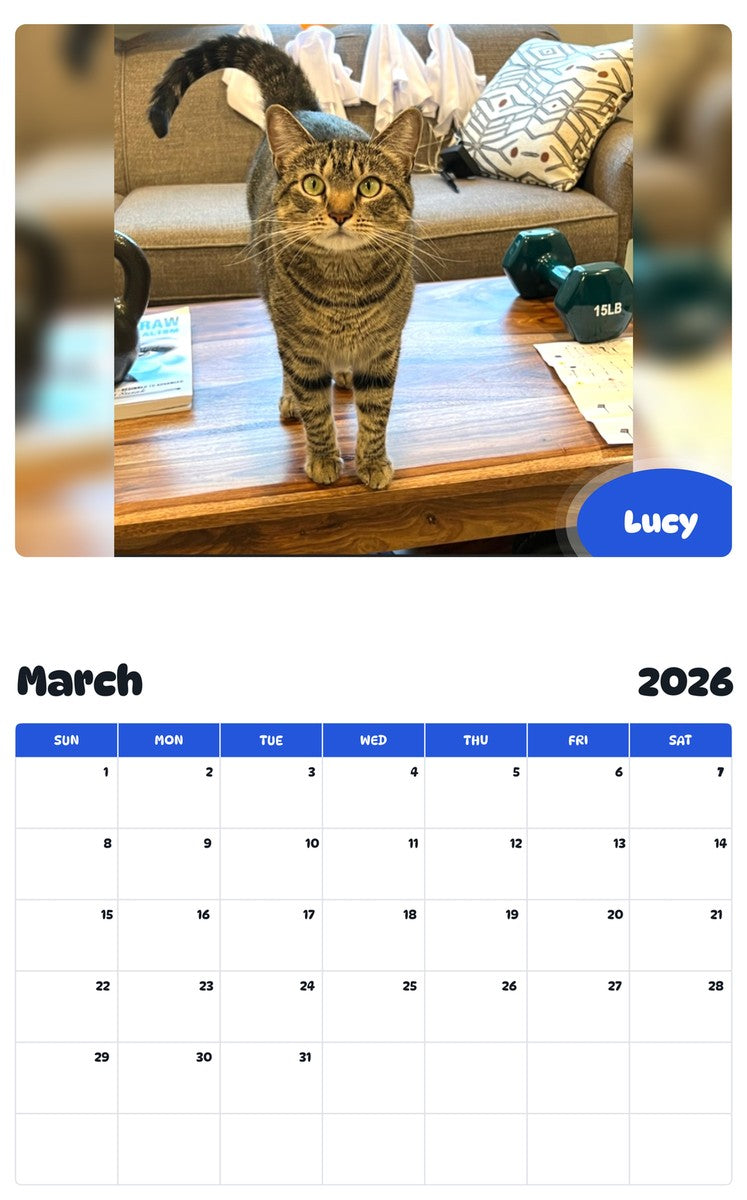 November 2025 - October 2026 Lucy - Pawidols Pet Calendar