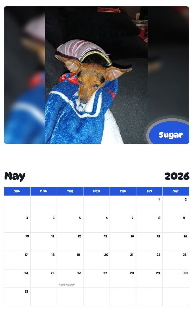 2026 - 2027 Sugar - Pawidols Pet Calendar