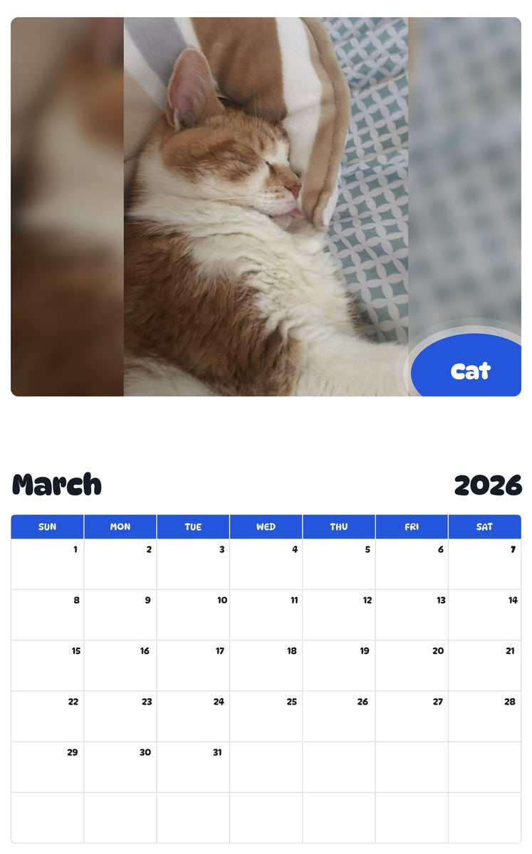 November 2025 - October 2026 Cat - Pawidols Pet Calendar