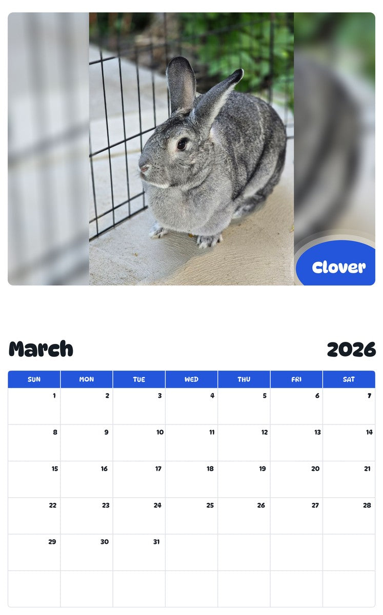 November 2025 - October 2026 Clover - Pawidols Pet Calendar