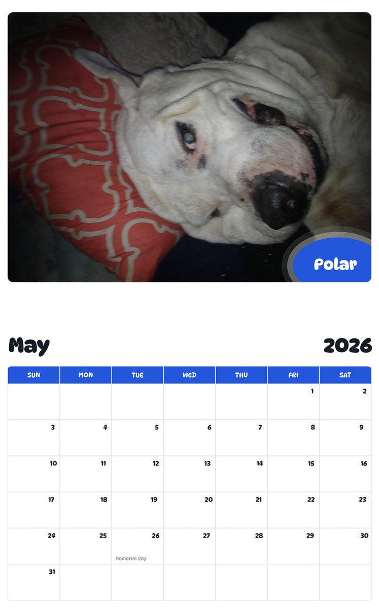 2026 - 2027 Polar - Pawidols Pet Calendar