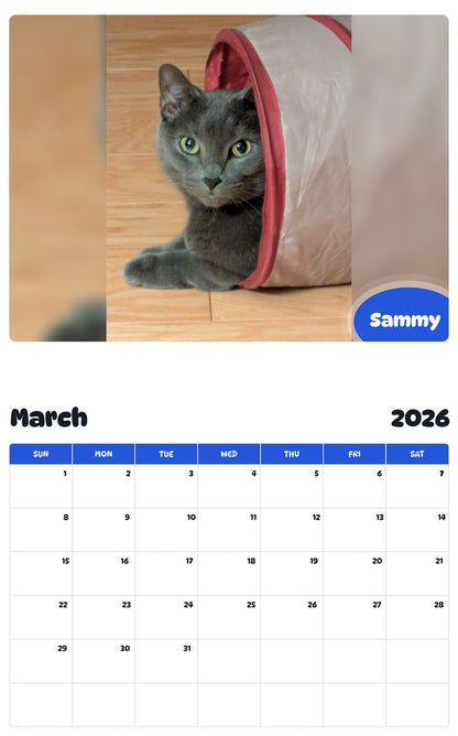 November 2025 - October 2026 Sammy - Pawidols Pet Calendar