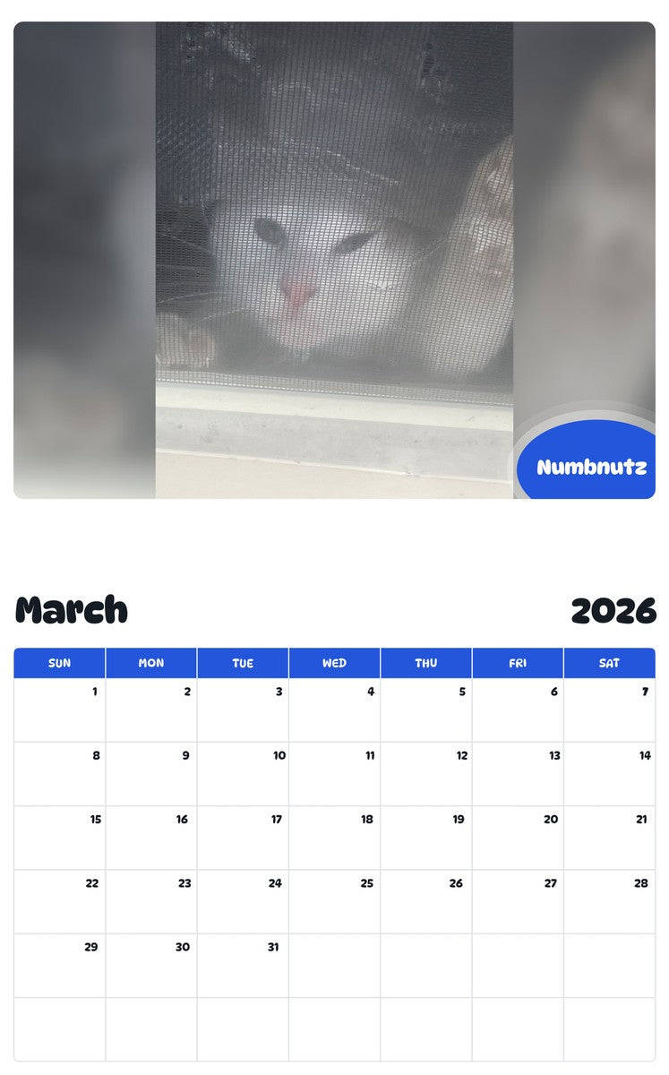 November 2025 - October 2026 Numbnutz - Pawidols Pet Calendar