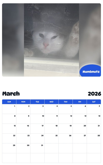 November 2025 - October 2026 Numbnutz - Pawidols Pet Calendar