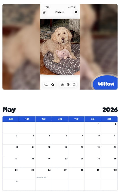 2026 - 2027 Willow - Pawidols Pet Calendar