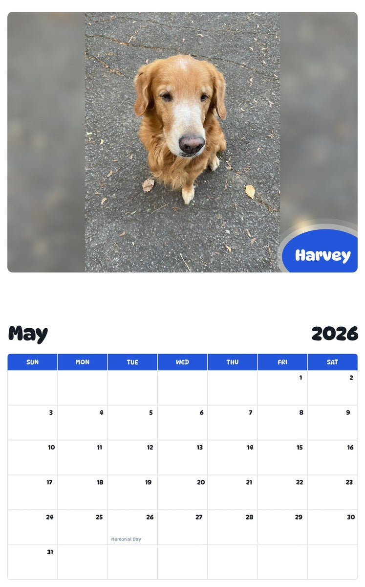 2026 - 2027 Harvey - Pawidols Pet Calendar