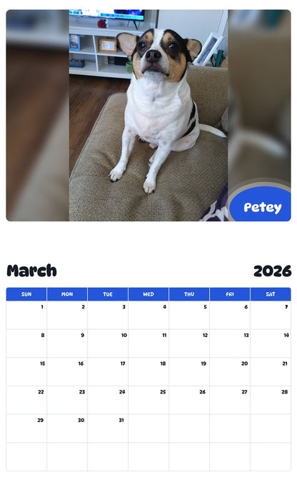 November 2025 - October 2026 Petey - Pawidols Pet Calendar