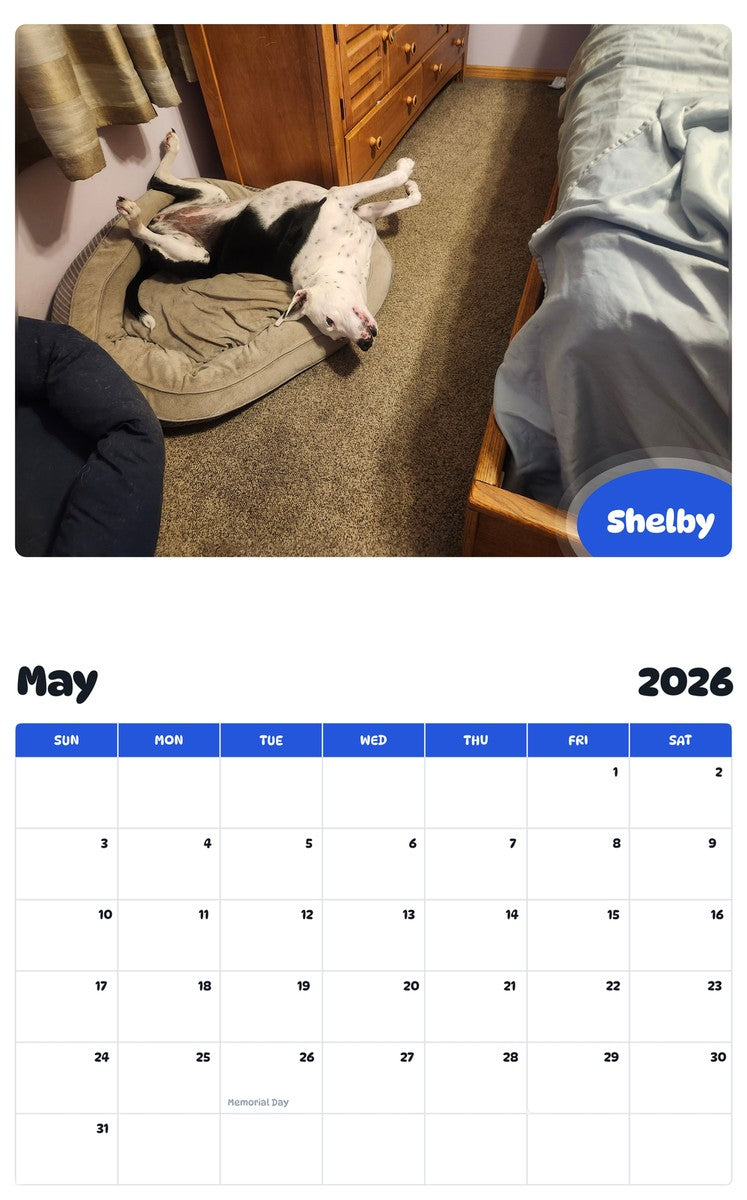 2026 - 2027 Shelby - Pawidols Pet Calendar