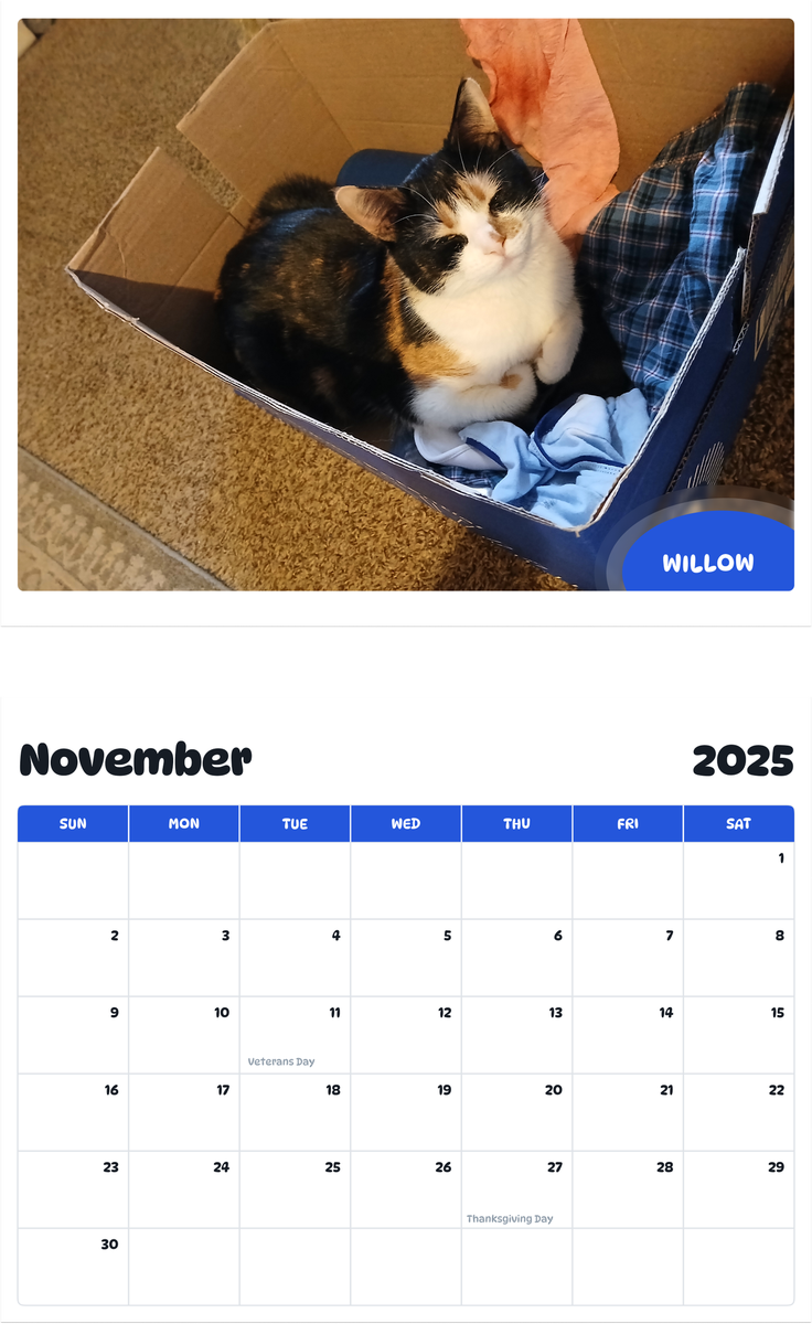 July 2025 - June 2026 Willow - Pawidols Pet Calendar