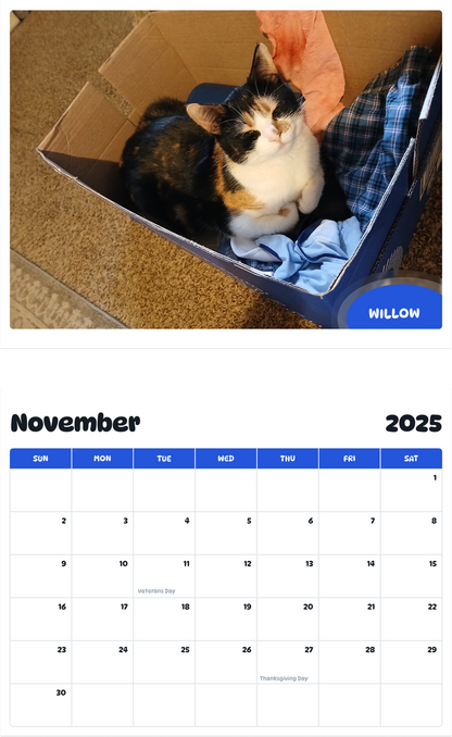 July 2025 - June 2026 Willow - Pawidols Pet Calendar