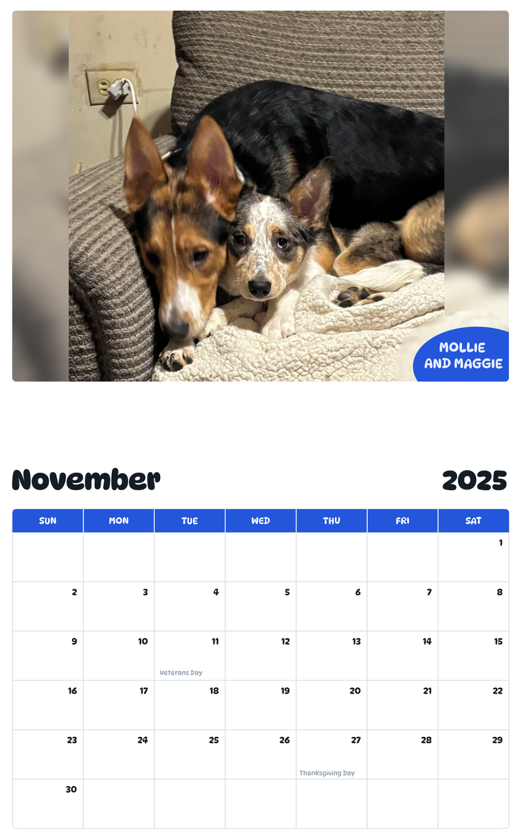 July 2025 - June 2026 Mollie and Maggie - Pawidols Pet Calendar