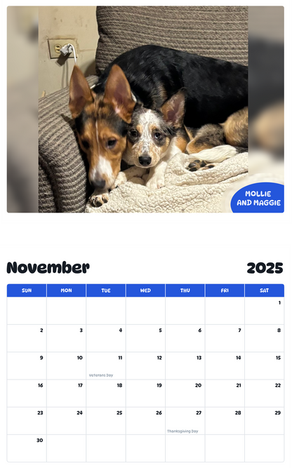 July 2025 - June 2026 Mollie and Maggie - Pawidols Pet Calendar