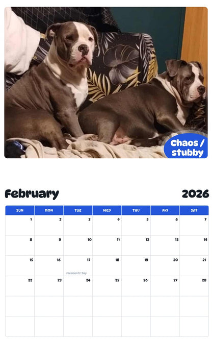 October 2025 - September 2026 Chaos / stubby - Pawidols Pet Calendar