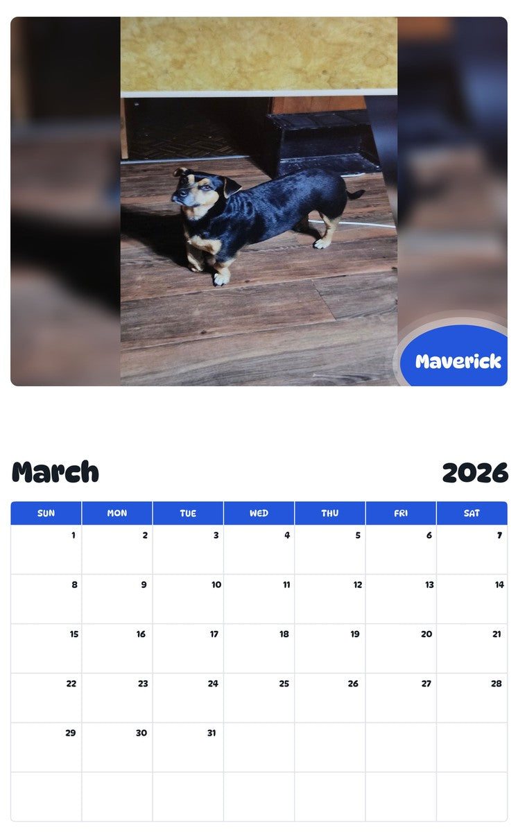 November 2025 - October 2026 Maverick - Pawidols Pet Calendar