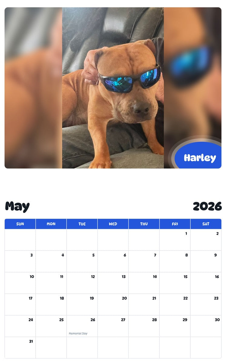 2026 - 2027 Harley - Pawidols Pet Calendar