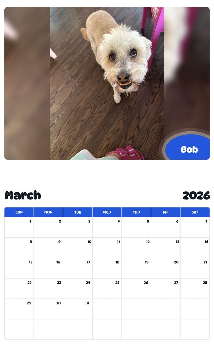 November 2025 - October 2026 Bob - Pawidols Pet Calendar