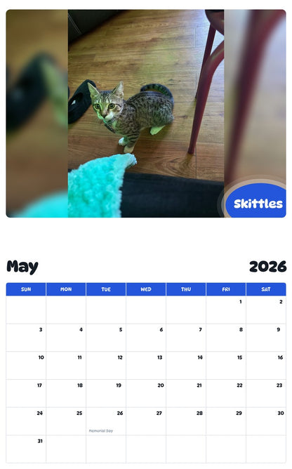 2026 - 2027 Skittles - Pawidols Pet Calendar