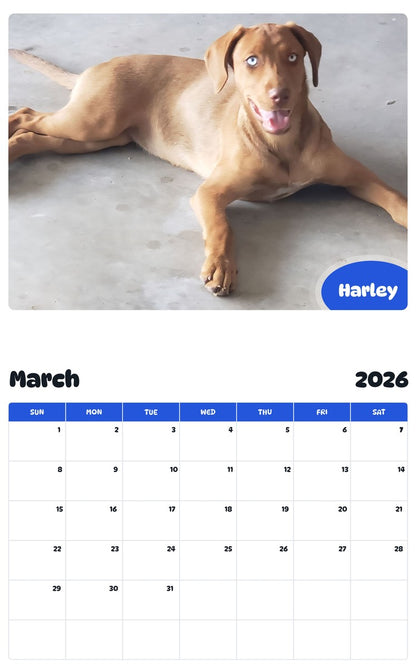 November 2025 - October 2026 Harley - Pawidols Pet Calendar