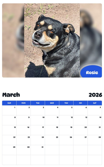 November 2025 - October 2026 Rosie - Pawidols Pet Calendar