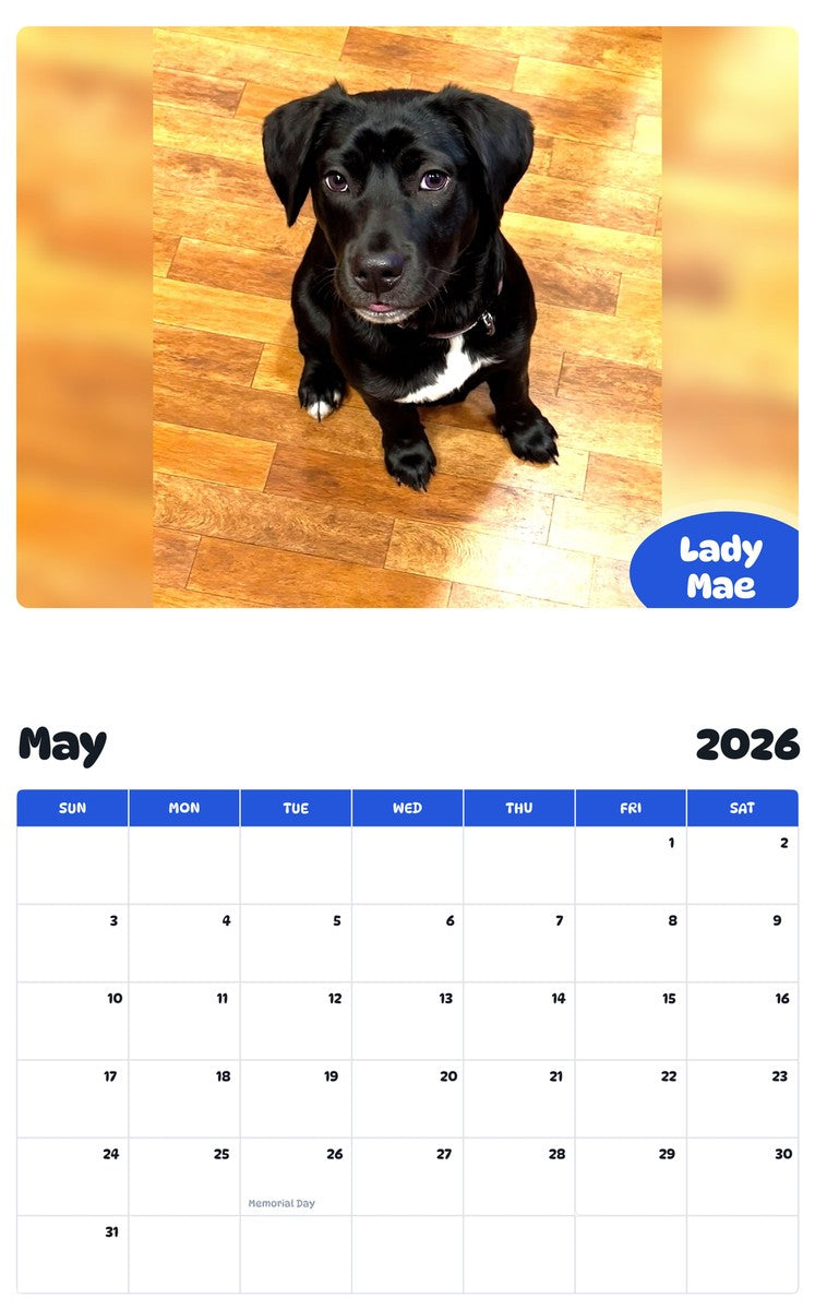 2026 - 2027 Lady Mae - Pawidols Pet Calendar