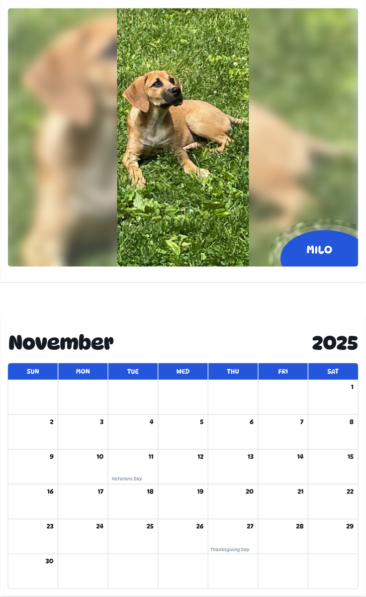July 2025 - June 2026 Milo - Pawidols Pet Calendar