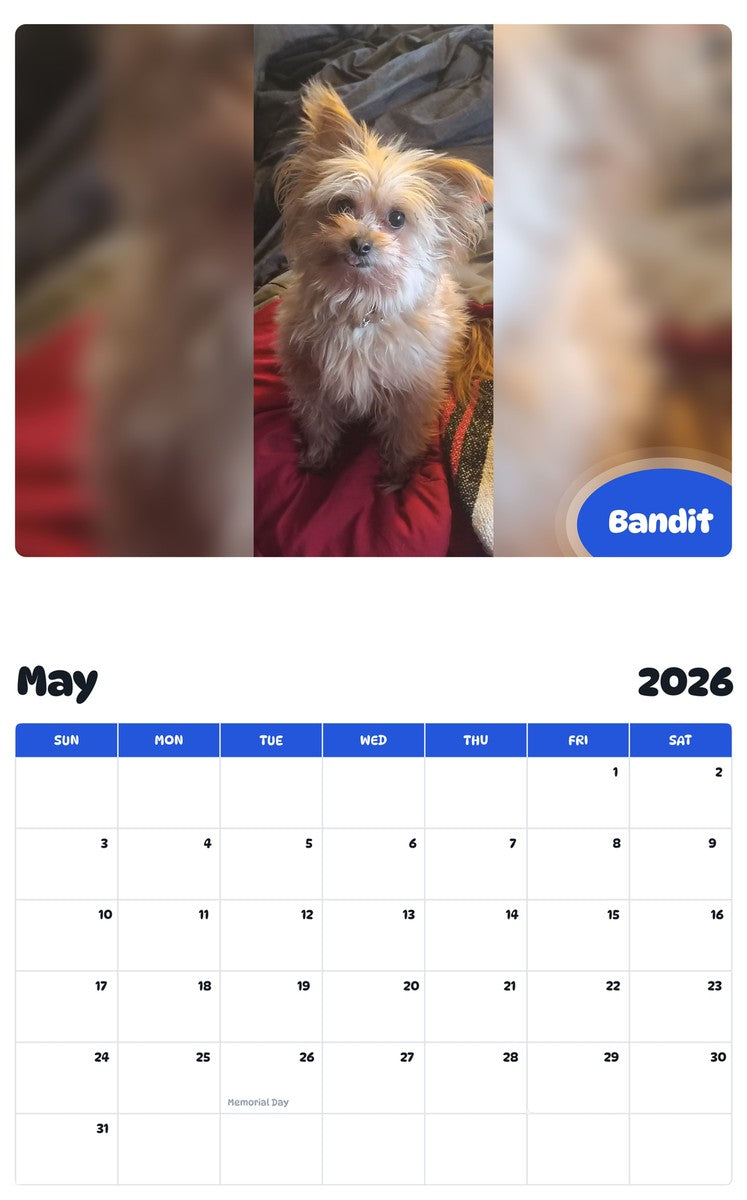 2026 - 2027 Bandit - Pawidols Pet Calendar