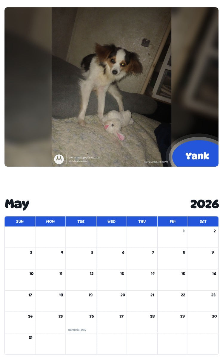2026 - 2027 Yank - Pawidols Pet Calendar
