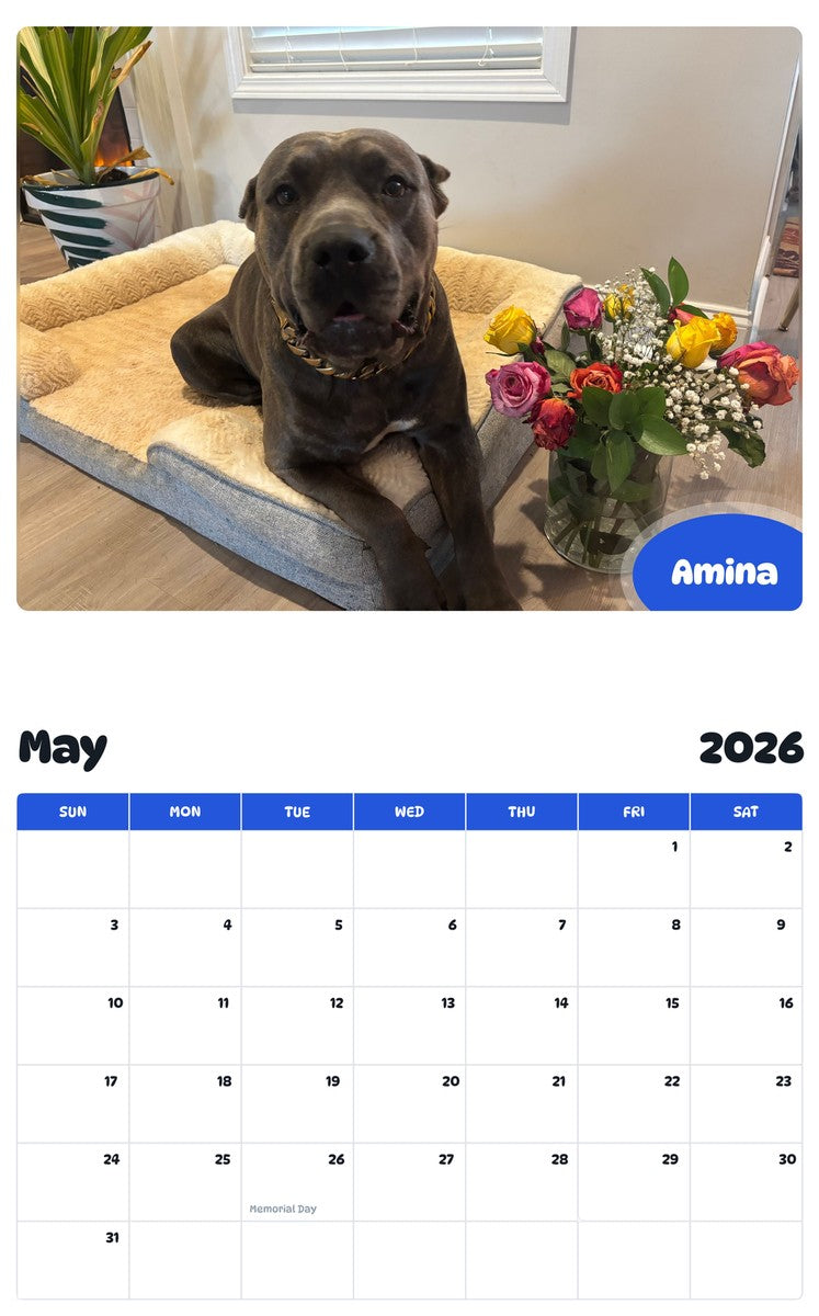 2026 - 2027 Amina - Pawidols Pet Calendar