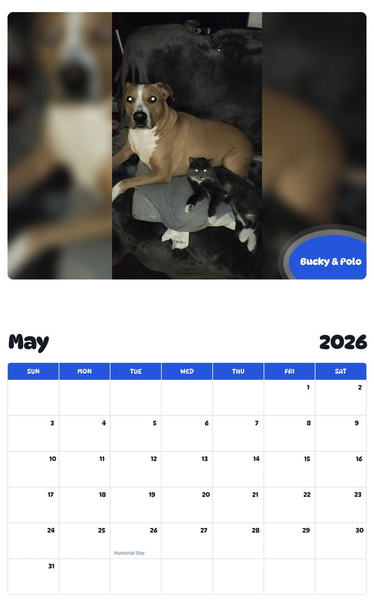 2026 - 2027 Bucky & Polo - Pawidols Pet Calendar