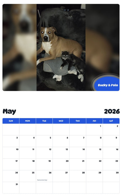 2026 - 2027 Bucky & Polo - Pawidols Pet Calendar