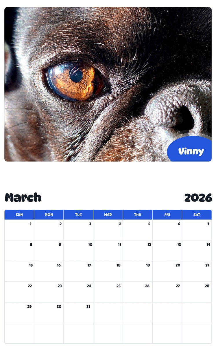 November 2025 - October 2026 Vinny - Pawidols Pet Calendar