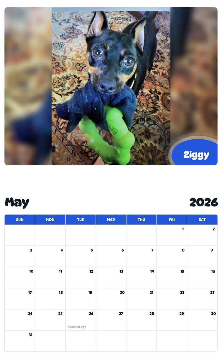2026 - 2027 Ziggy - Pawidols Pet Calendar