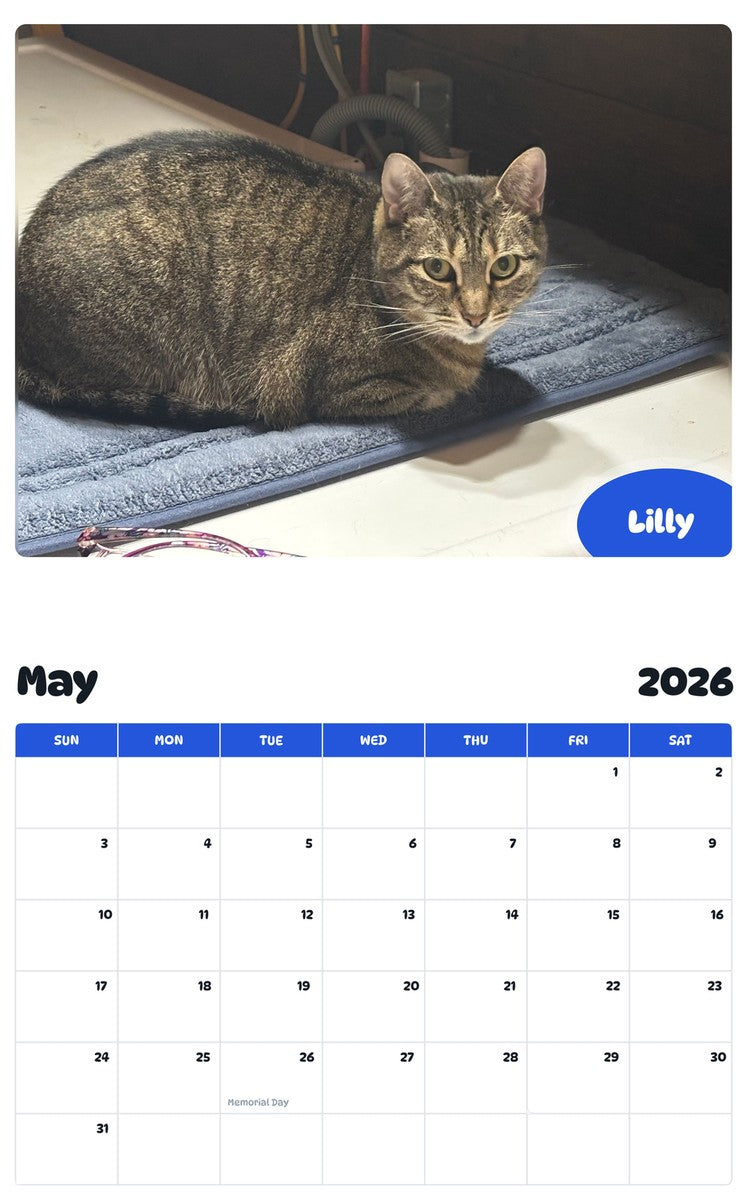 2026 - 2027 Lilly - Pawidols Pet Calendar