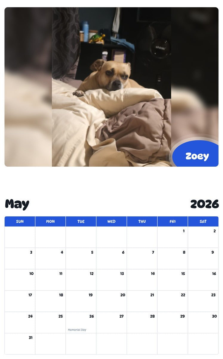 2026 - 2027 Zoey - Pawidols Pet Calendar