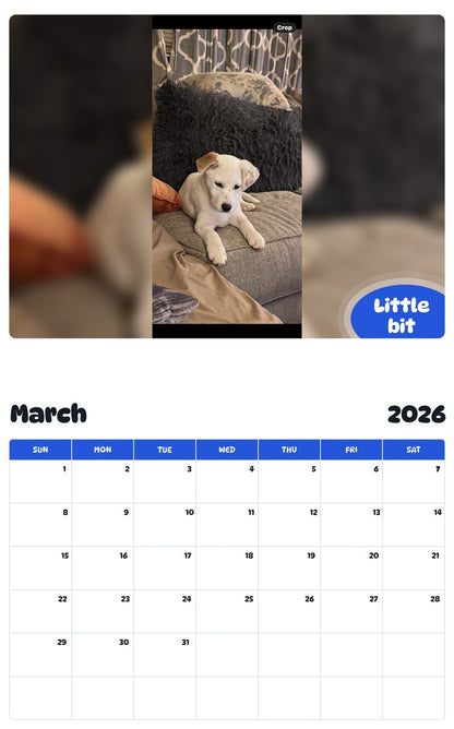 November 2025 - October 2026 Little bit - Pawidols Pet Calendar