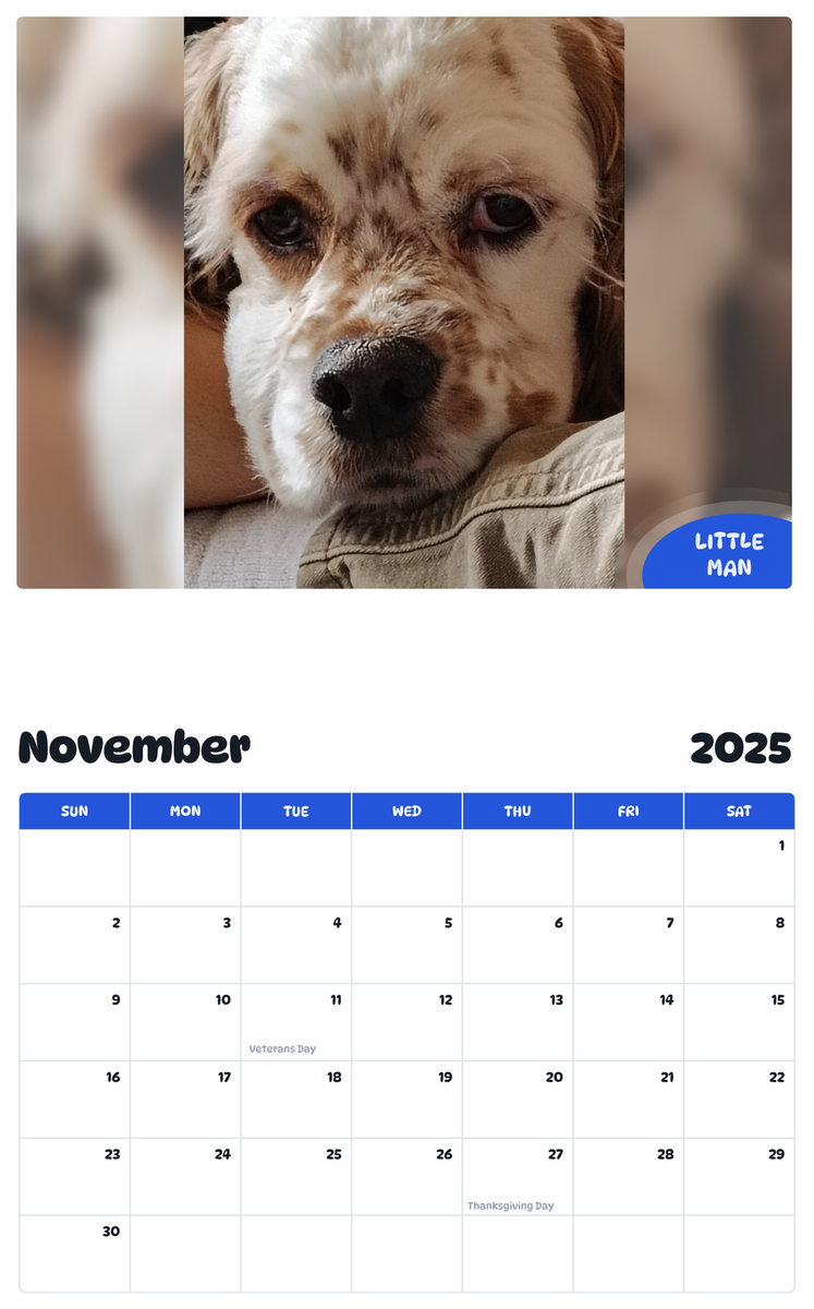 July 2025 - June 2026 Little Man - Pawidols Pet Calendar