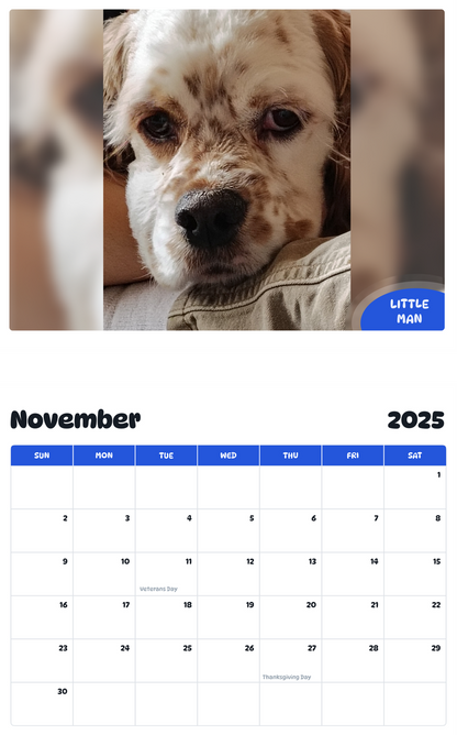July 2025 - June 2026 Little Man - Pawidols Pet Calendar