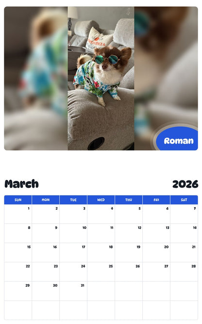 November 2025 - October 2026 Roman - Pawidols Pet Calendar