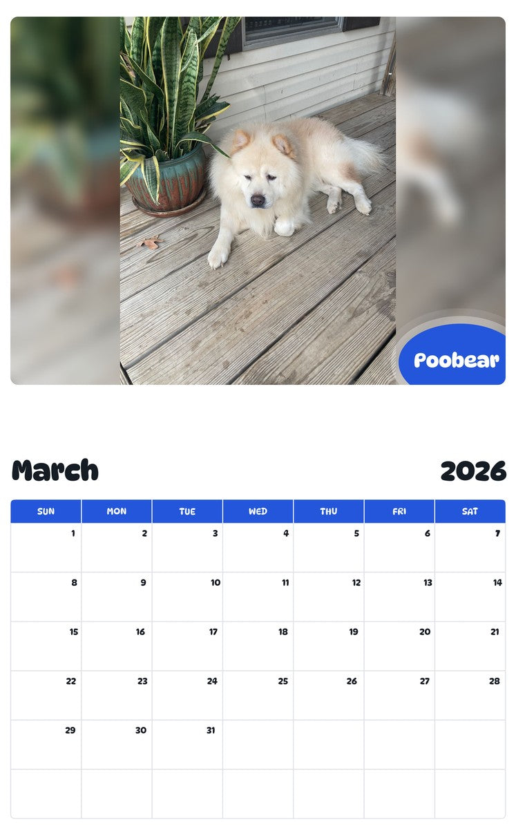 November 2025 - October 2026 Poobear - Pawidols Pet Calendar