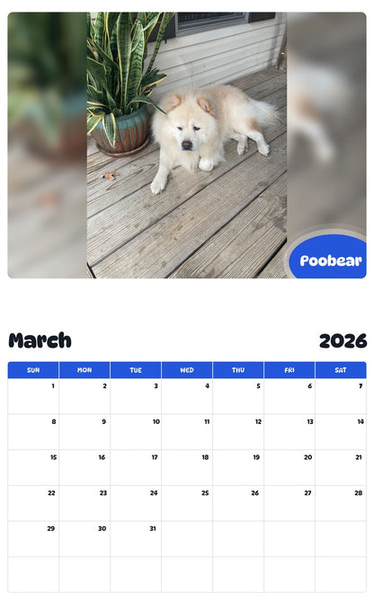 November 2025 - October 2026 Poobear - Pawidols Pet Calendar