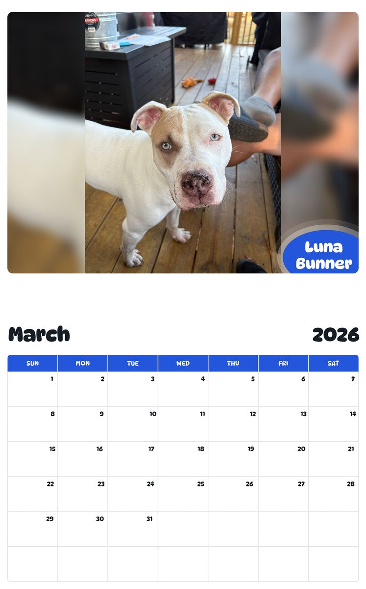 November 2025 - October 2026 Luna Bunner - Pawidols Pet Calendar