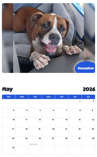 2026 - 2027 Bocephus - Pawidols Pet Calendar