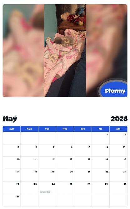 2026 - 2027 Stormy - Pawidols Pet Calendar
