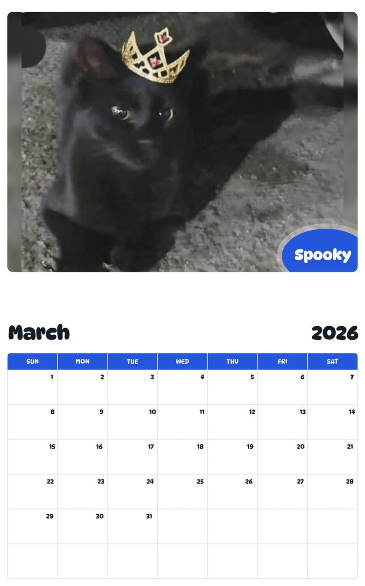 November 2025 - October 2026 Spooky - Pawidols Pet Calendar