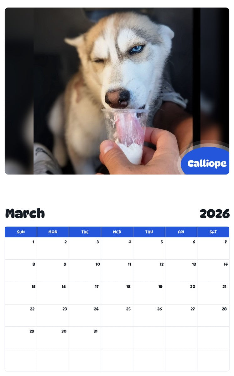 November 2025 - October 2026 Calliope - Pawidols Pet Calendar
