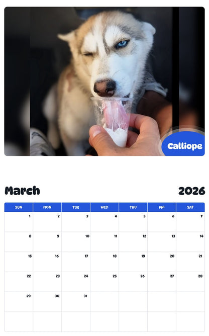 November 2025 - October 2026 Calliope - Pawidols Pet Calendar