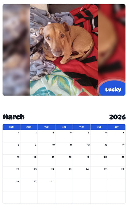 November 2025 - October 2026 Lucky - Pawidols Pet Calendar