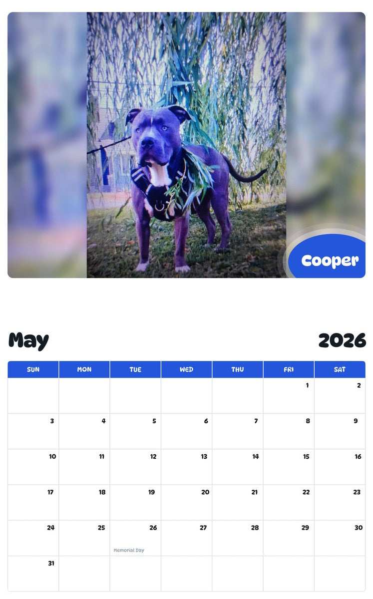 2026 - 2027 Cooper - Pawidols Pet Calendar