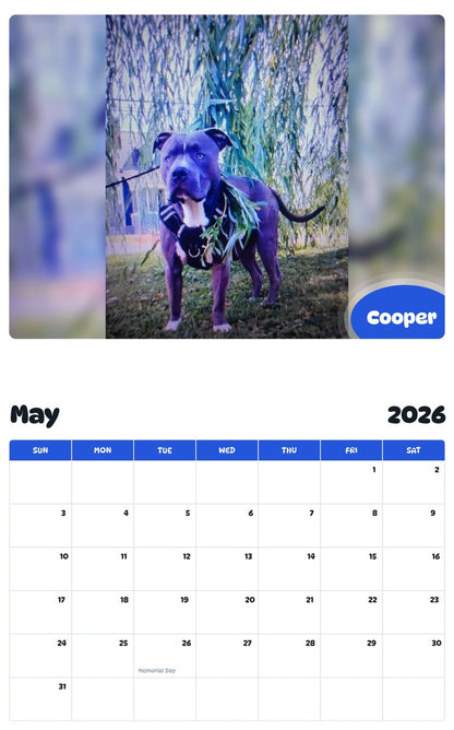 2026 - 2027 Cooper - Pawidols Pet Calendar