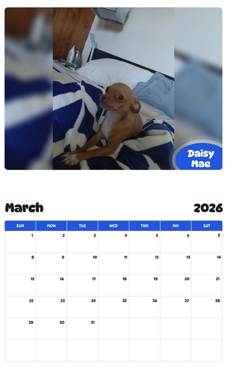 November 2025 - October 2026 Daisy Mae - Pawidols Pet Calendar